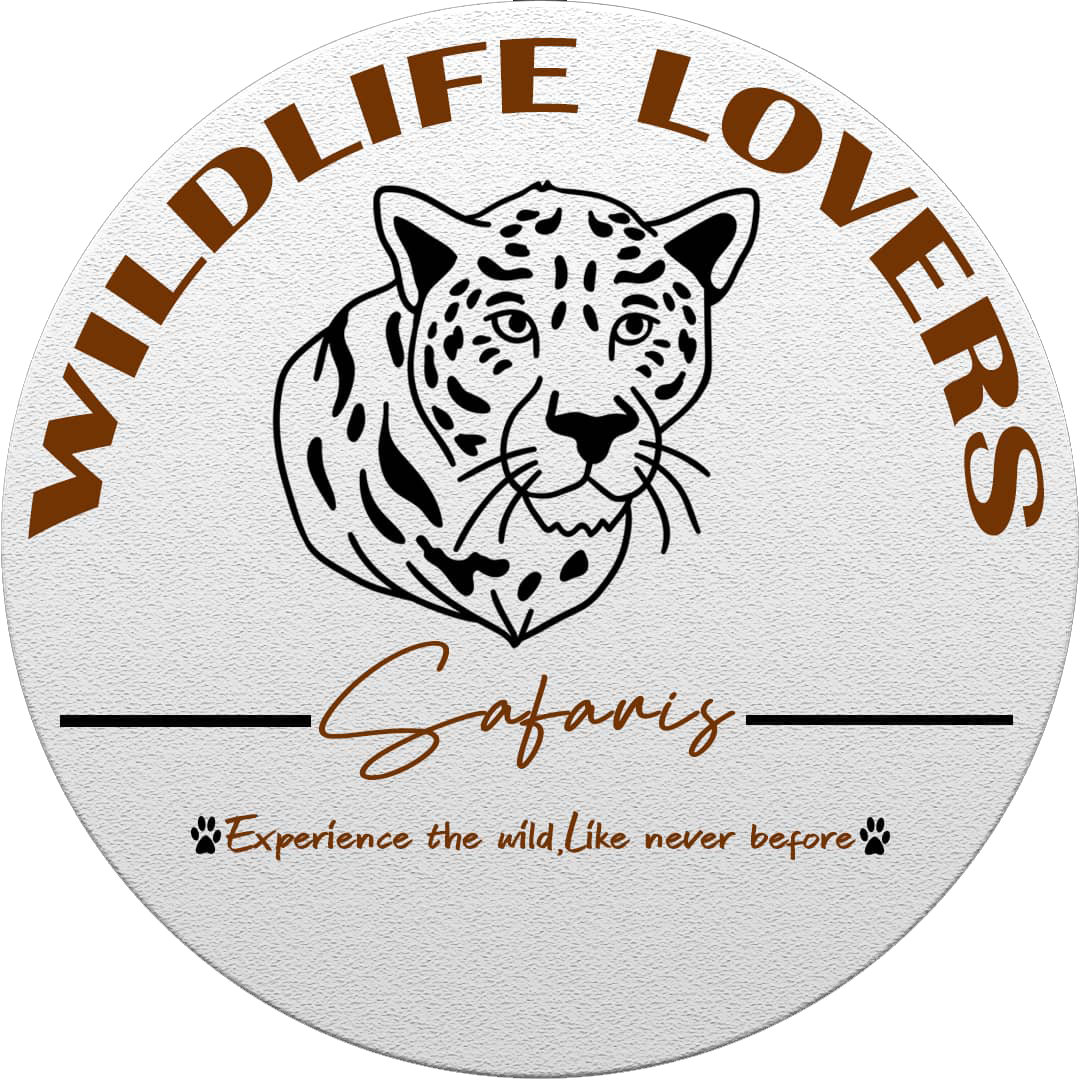 Wildlife Safaris Wildlife Lovers Safaris wildlife-safaris-wildlife-lovers-safaris