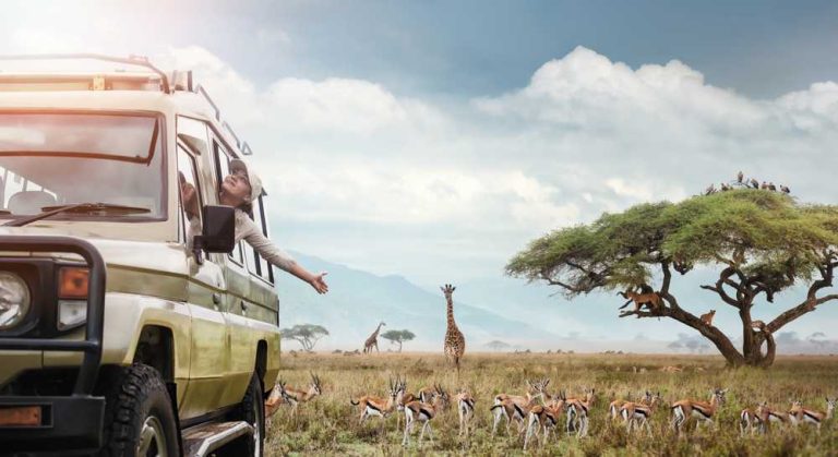 10 Reasons to Book a Low-Season Safari in Tanzania (Most Travelers Don’t Know About)