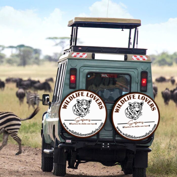 Tanzania Safari, Climbing Kilimanjaro & Africa Trips