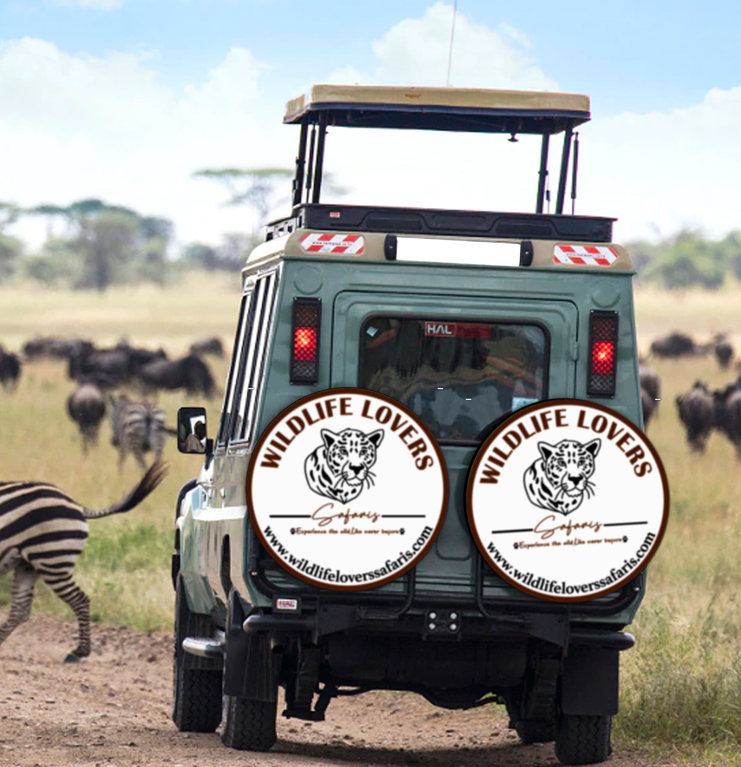Tanzania Safari, Climbing Kilimanjaro & Africa Trips