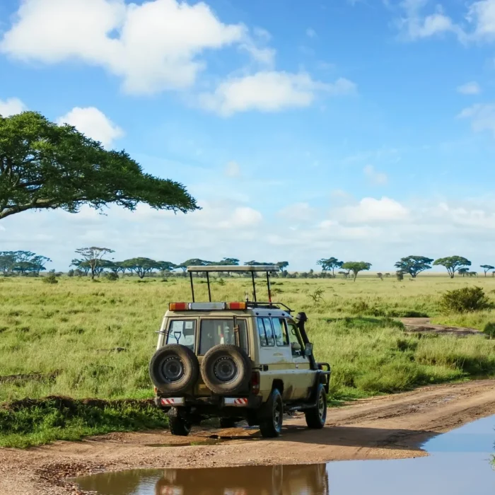 4-Day Taste of Kenya - Mid-Range