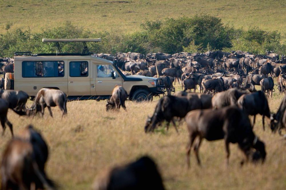 6-day private safari adventure across Tanzania’s most iconic wildlife