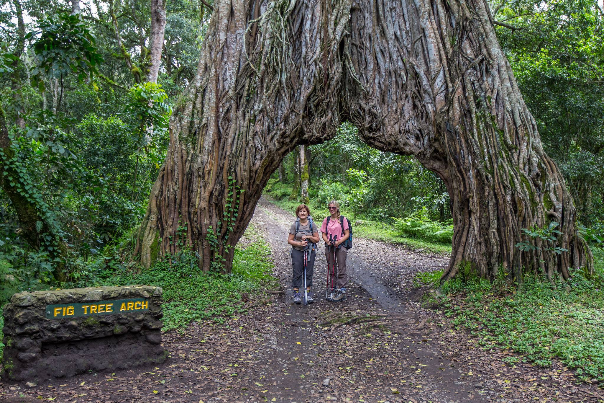Arusha National park