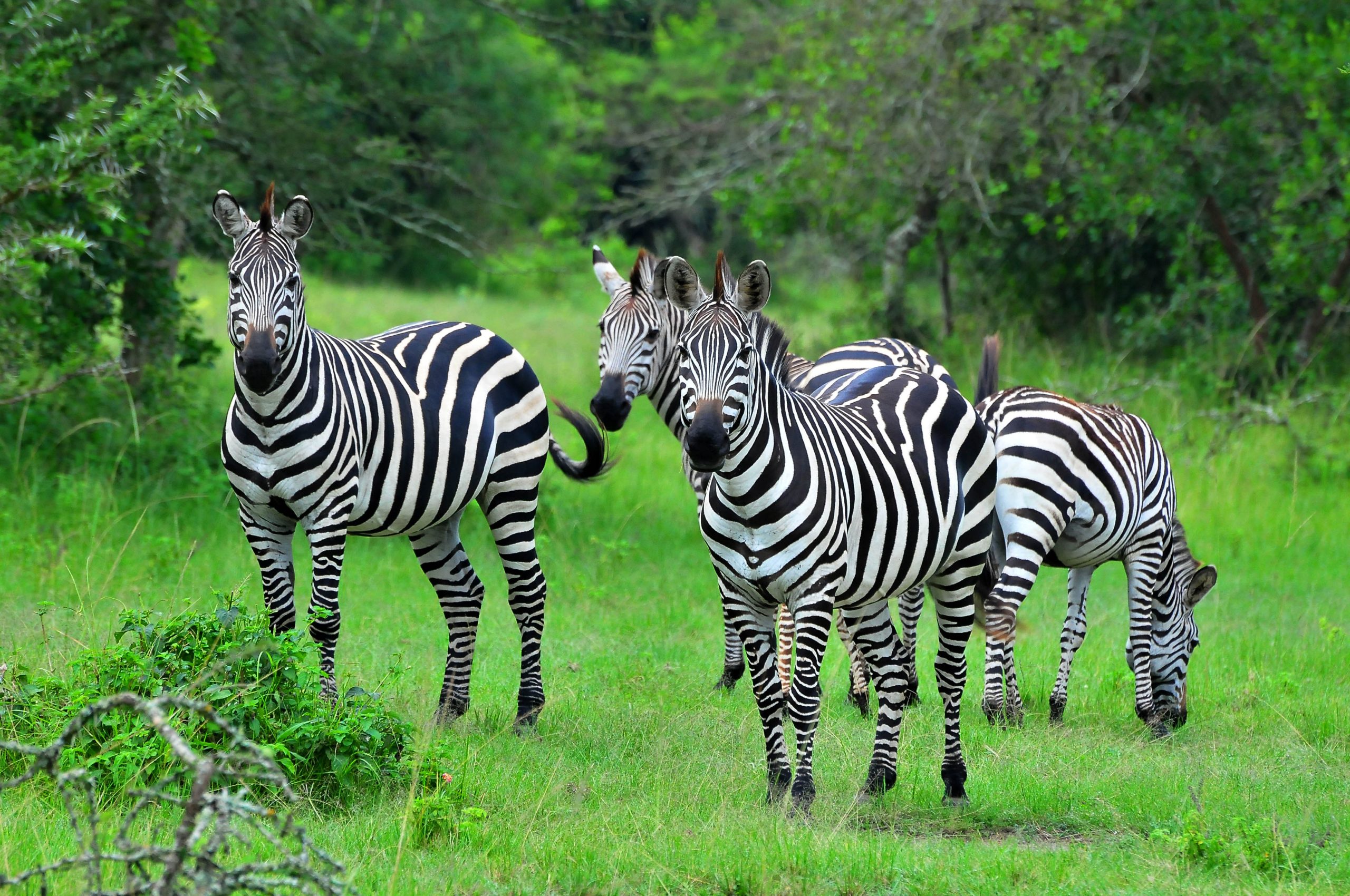 Lake-Mburo-NP-scaled