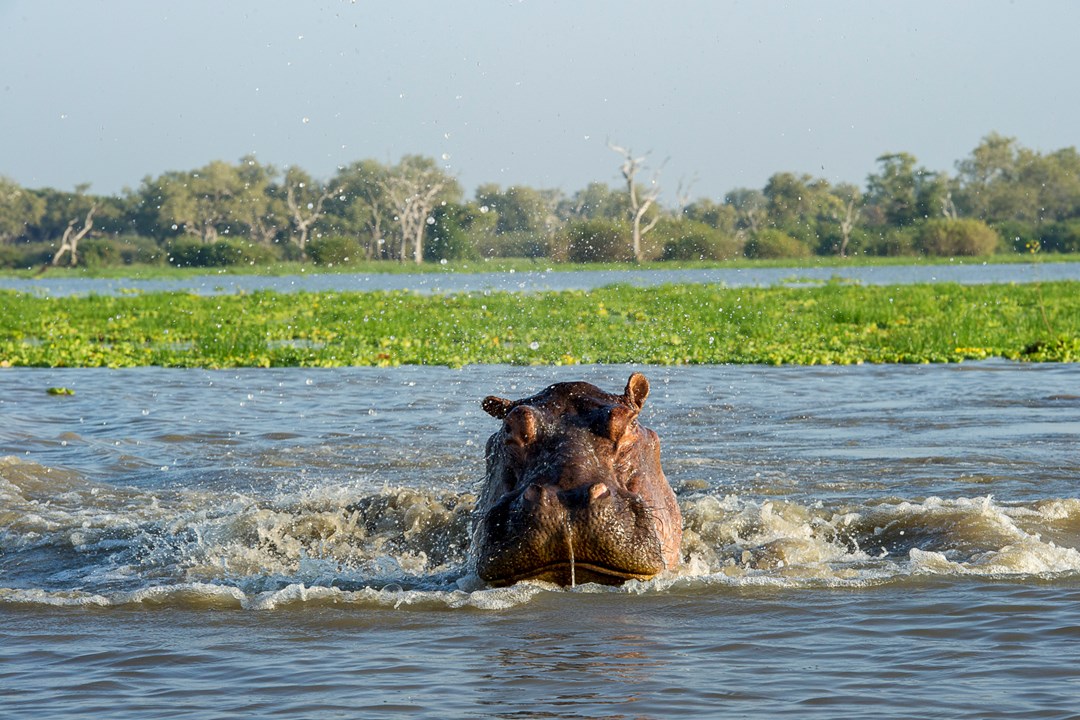Selous-Game-Reserve-3 (1)