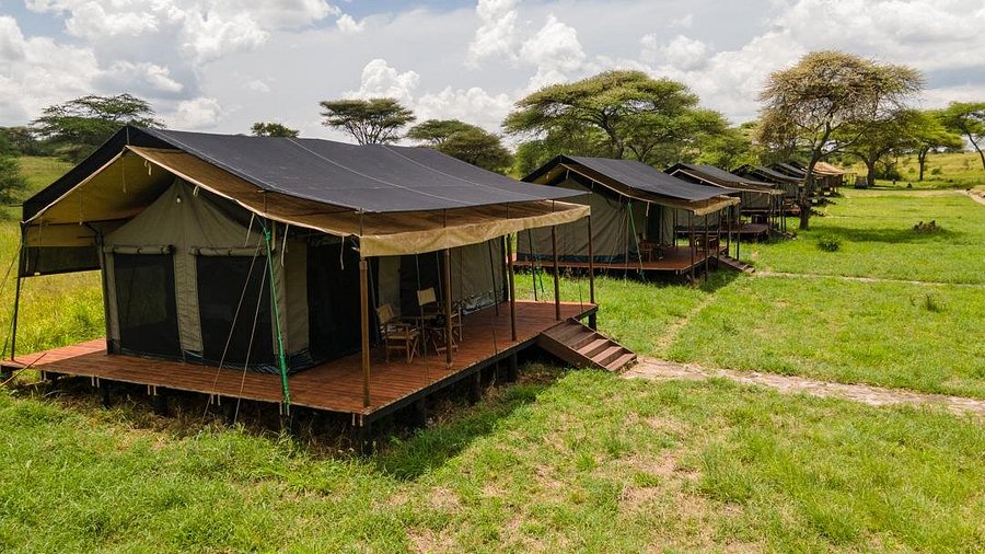 all-our-12-rooms-are