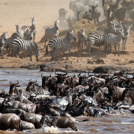 dreamstime_15611543_MARA_RIVER_CROSSING
