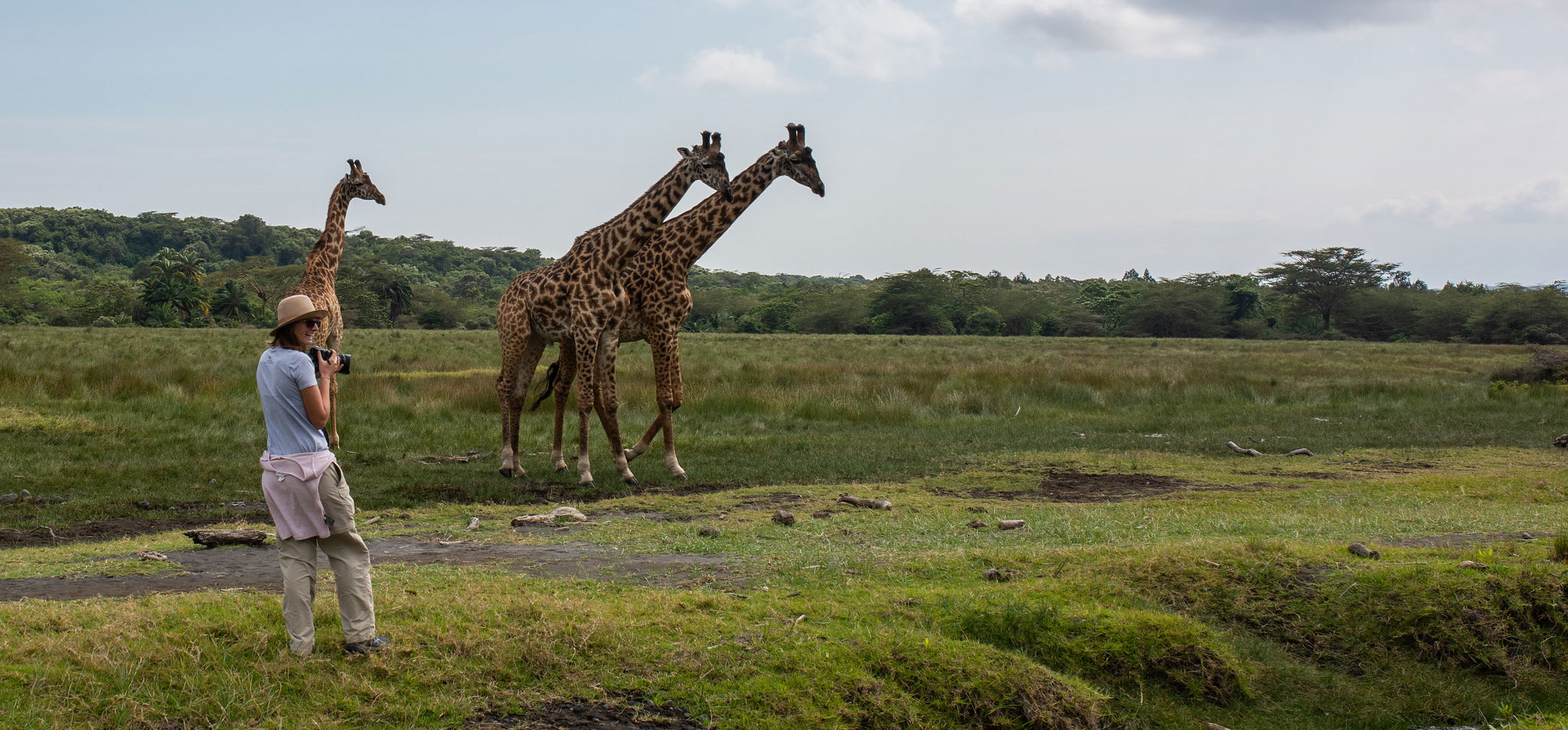 giraffes-on-mount-meru-safari