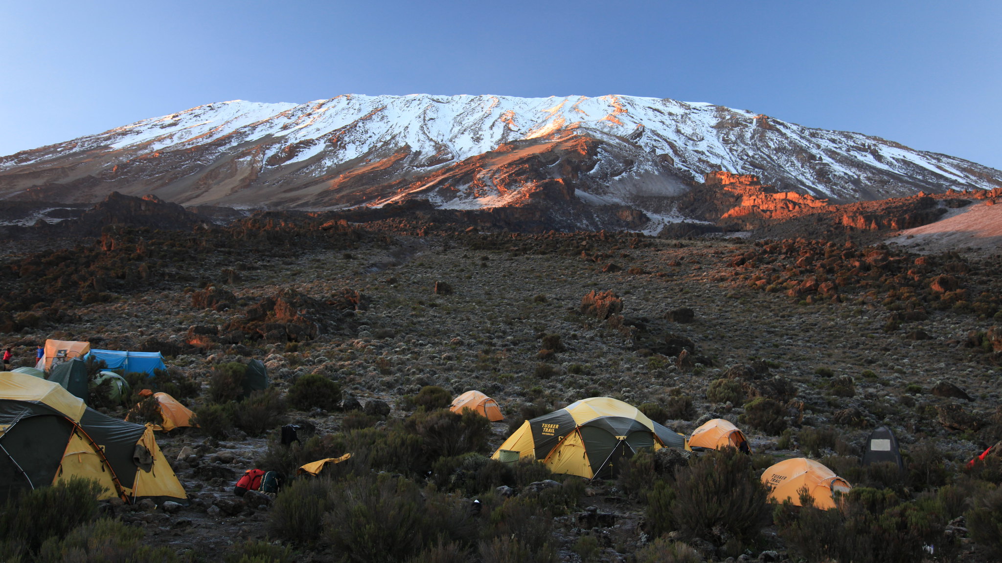 Kilimanjaro