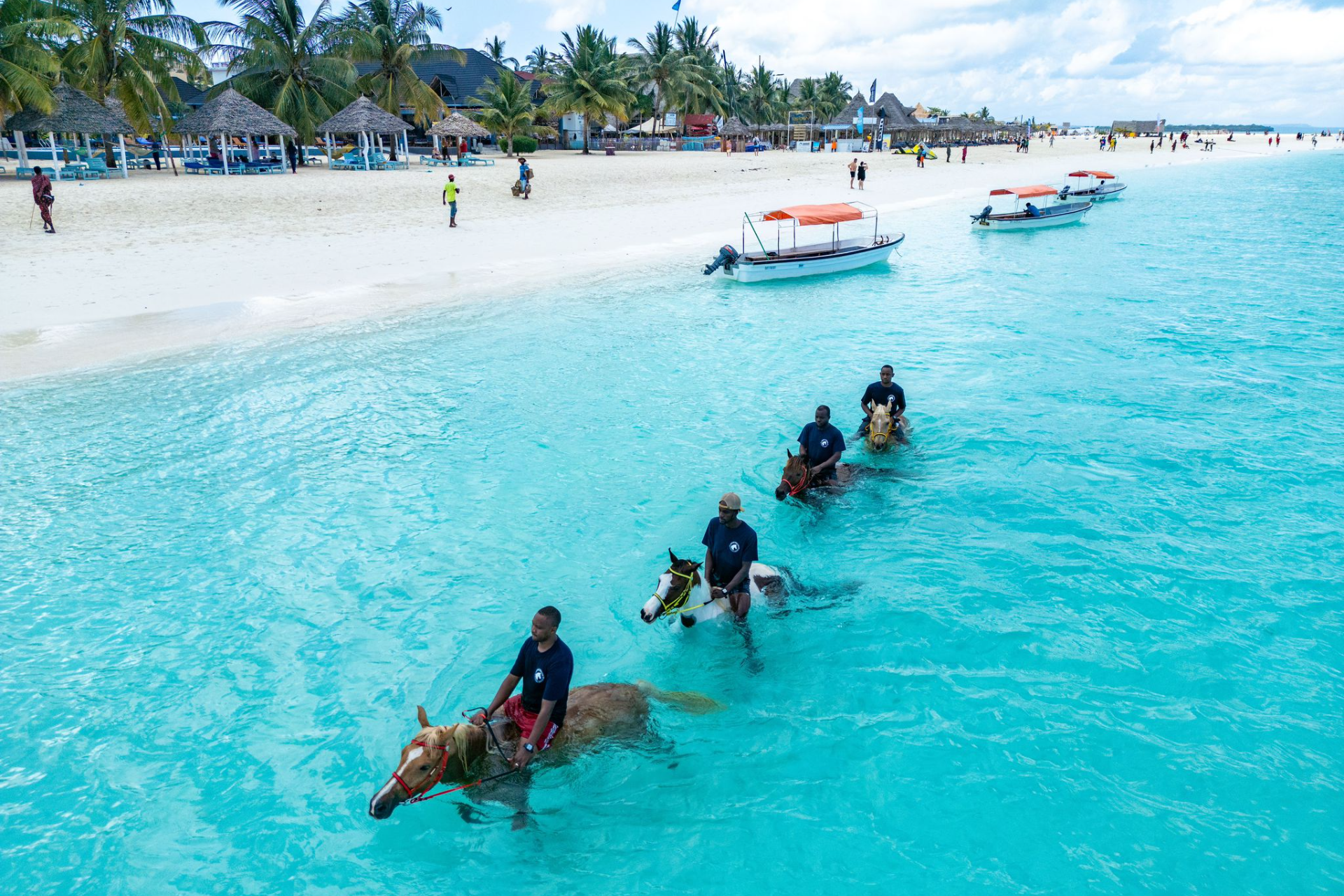 66c371ee17765982137cd3c8_Zanzibar-Horse-Club-Horses-swimming-with-riders-in-the-ocean-1.webp