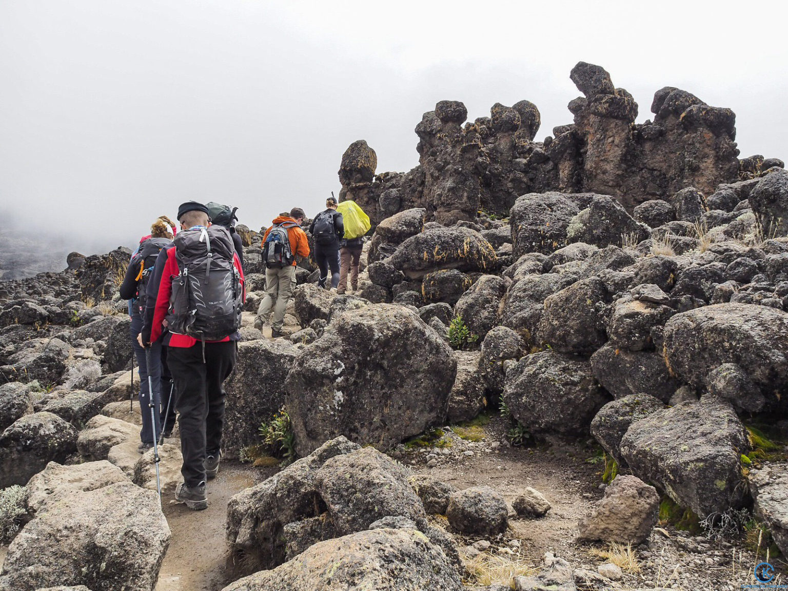 Kilimanjaro-walking