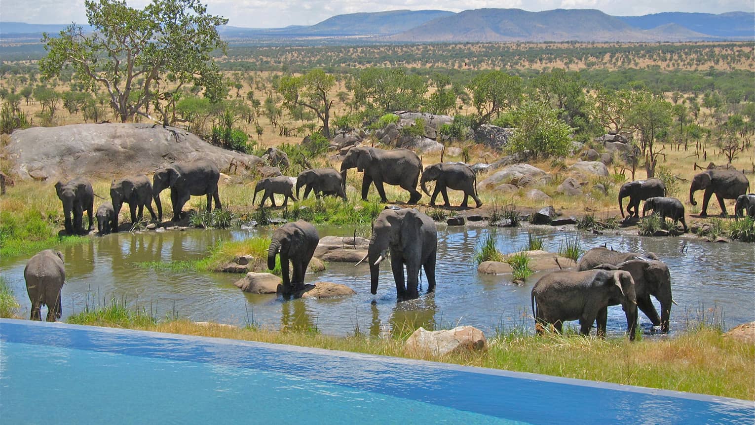 watering hole
