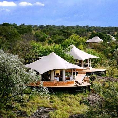 Maasai mara lodge