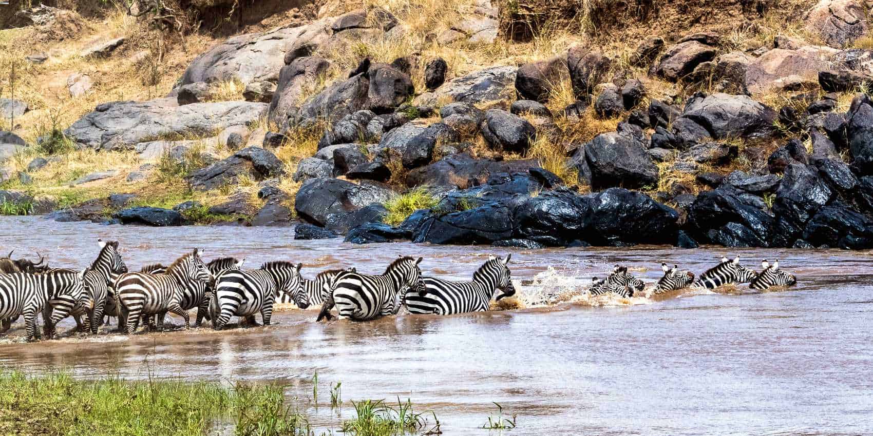maasai_mara_national_reserve_6-2